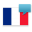 Samsung TTS French Default voice 2 201904261