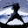 Shadow Fight 2 2.4.1 (arm64-v8a) (Android 4.1+)