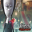 Addams Family: Mystery Mansion 0.2.4 (arm-v7a) (nodpi) (Android 4.4+)