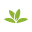 PlantNet Plant Identification 3.7.4 (160-640dpi) (Android 4.1+)