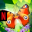NETFLIX Flutter Butterflies 3.203