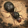 The Ants: Underground Kingdom 3.27.0 (arm-v7a)