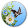 Butterfly 1.1.3 (Android 4.3+)