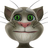 Talking Tom Cat 2.6