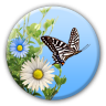 Butterfly 1.1.6 (Android 4.3+)