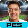 PES COLLECTION 1.1.20