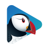 Puffin TV Browser (Android TV) 6.1.0.15038