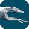 Greyhound: Buy Bus Tickets 6.4.901 (Android 4.3+)