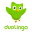 Duolingo: language lessons 3.102.3 (noarch) (nodpi) (Android 4.4+)