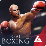 Real Boxing – Fighting Game 2.4.2