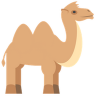 TryCamel 1.4.5