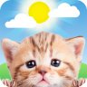 Weather Kitty - App & Widget 5.3.3 (noarch) (Android 4.4+)