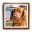 PhotoFrame 1.8.0