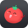 Tomato VPN | VPN Proxy 2.7.605 (nodpi)