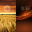 Amber 10.0.A.0.14 (Android 4.0.3+)