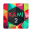 KAMI 2 2.4.6