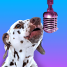 PetStar: My Pet Sings & Dances 1.0.25