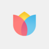 Mi Wallpaper Carousel V7-G-221101